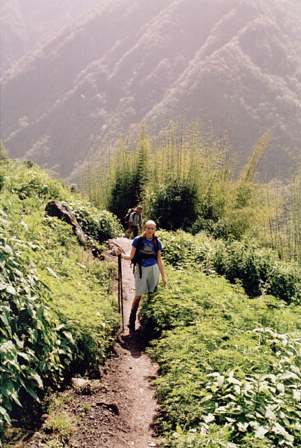 nepal abc an overgrown path
