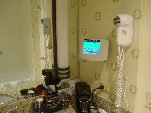 TV in the bathroom