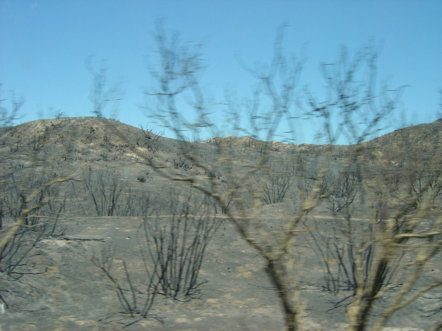 forest fire aftermath 1 near temecula