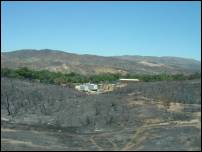 forest fire aftermath 2