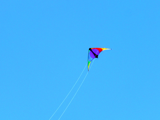 new kite