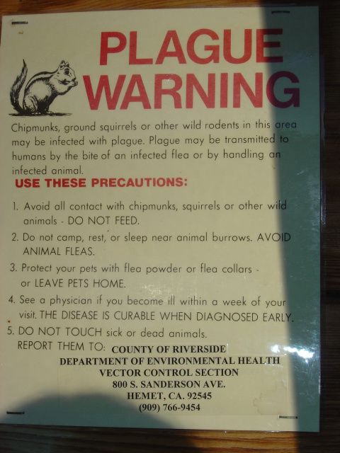 plague warning