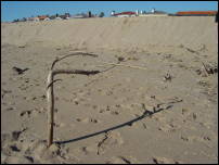 stick on beach 1