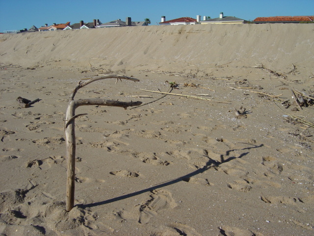 stick on beach 2