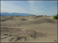 dunes human tracks