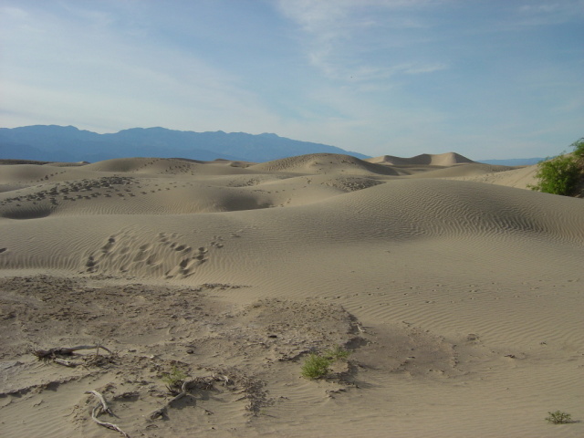 dunes human tracks