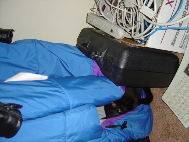 eva hides in sleeping bag