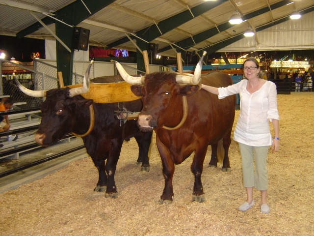 oxen and kate