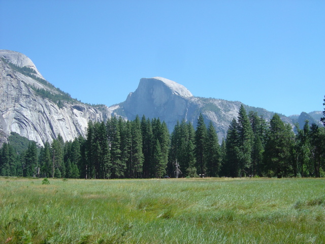 half dome from cooks meadow