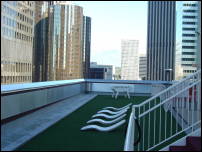the standard rooftop lawn