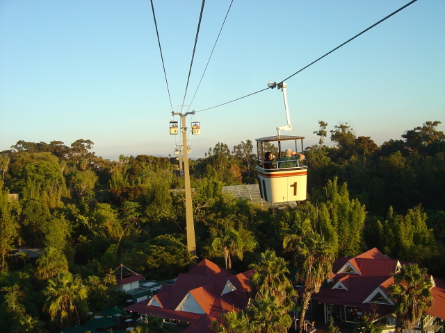 zoo cable car