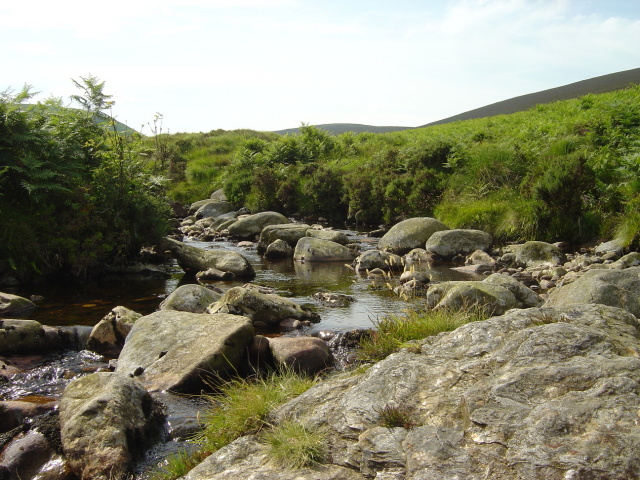 wicklow brook