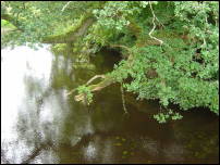 the river at markree