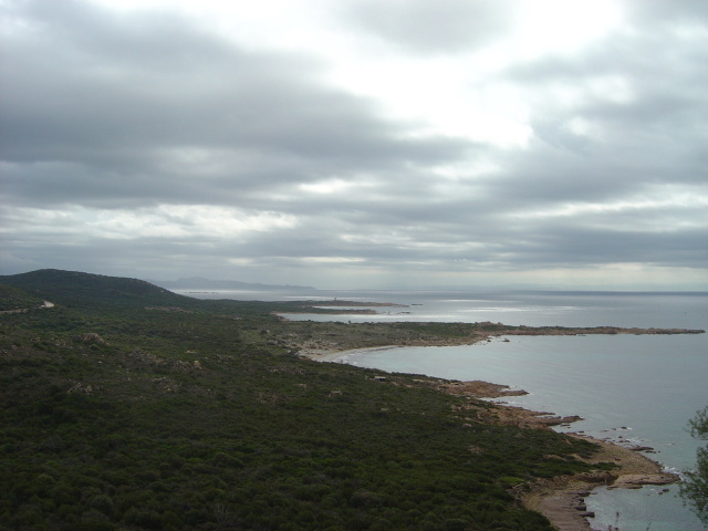 view along southern coast
