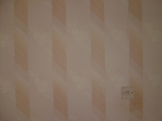 pre reno wallpaper